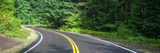 Freshly-paved asphalt road