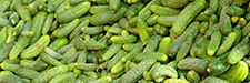 A pile of pickles