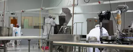 Floor Cleaning