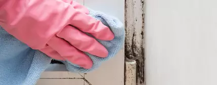 Ware Wash