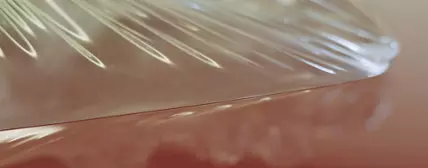保护膜