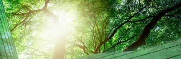 Carbon future technology 