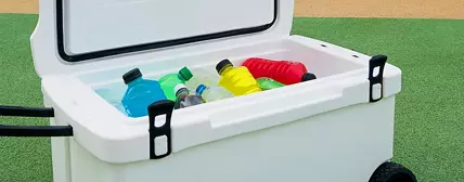 Refrigeratori portatili - Ice Box